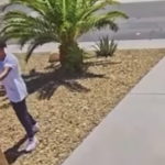 Intento de asesinato en Las Vegas captado en video: el propietario escapa por poco de recibir un disparo después de que el arma del sospechoso se atasca | Noticias de Buenaventura, Colombia y el Mundo