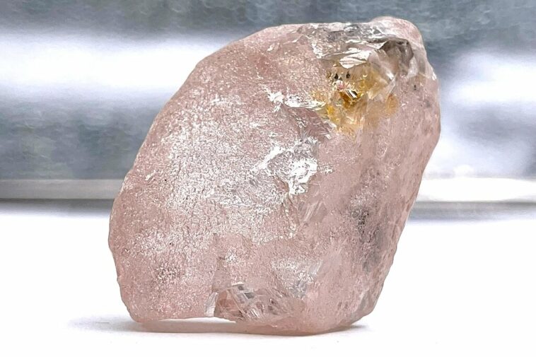 Mineros descubren diamante rosa que se cree que es el más grande visto en 300 años | Noticias de Buenaventura, Colombia y el Mundo