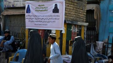 Los talibanes siguen siendo gobernantes ilegítimos, dicen activistas afganas | Noticias de Buenaventura, Colombia y el Mundo