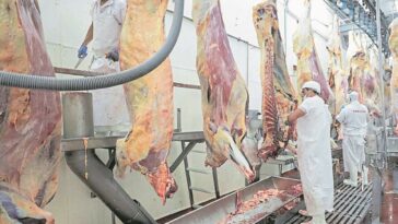 ‘La inflación de la carne de cerdo es negativa’: líder de Porkcolombia | Finanzas | Economía