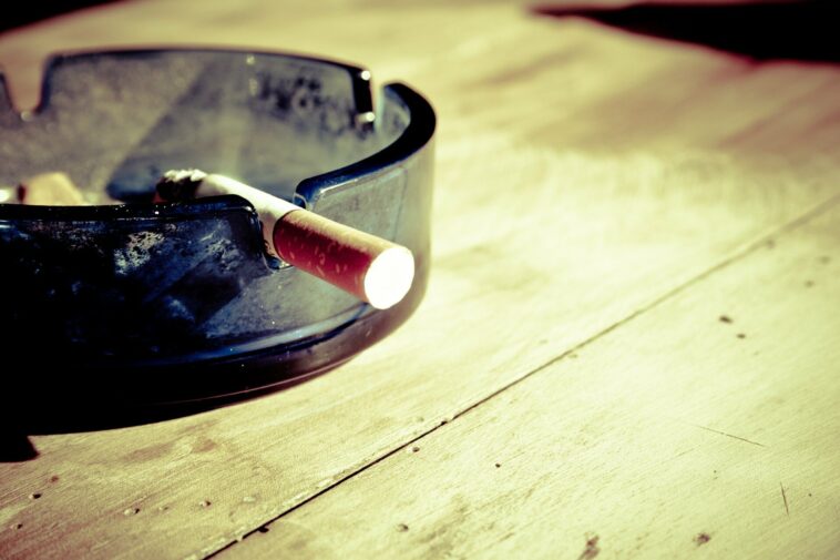 La FDA apunta a las gomitas de nicotina ilegales en una nueva carta de advertencia | Noticias de Buenaventura, Colombia y el Mundo