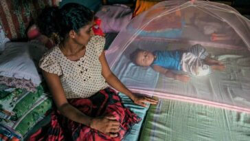 Sri Lanka: UNFPA solicita 10,7 millones de dólares para atención médica "crítica" de mujeres | Noticias de Buenaventura, Colombia y el Mundo