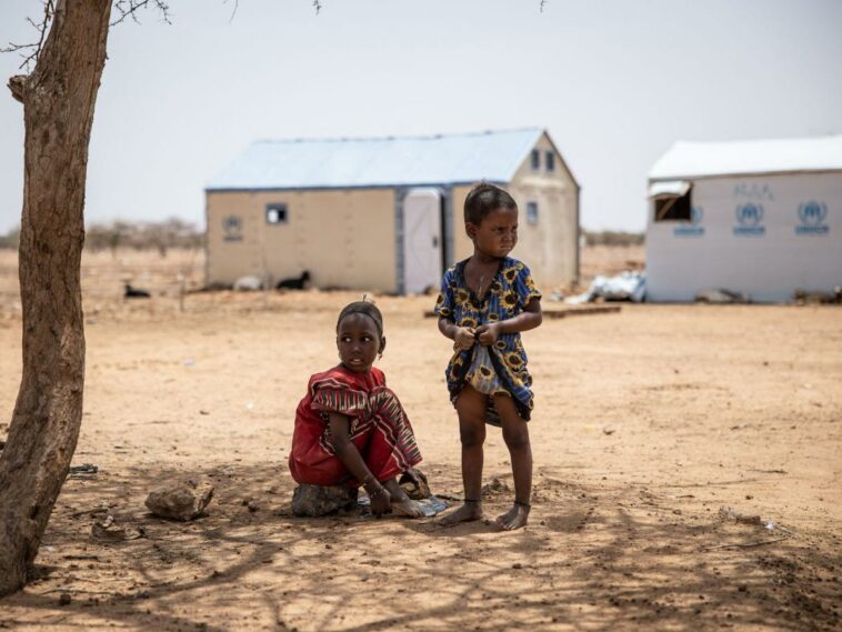 'Es trágico': el calor extremo podría borrar el progreso en la desnutrición infantil en África Occidental, advierten los científicos | Noticias de Buenaventura, Colombia y el Mundo