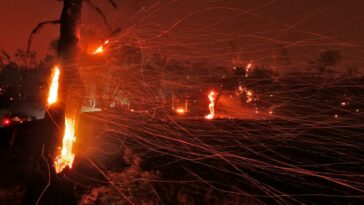 Se revelan las causas de los mortales incendios forestales causados ​​por rayos secos | Noticias de Buenaventura, Colombia y el Mundo