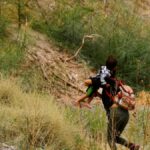 Comisión mexicana de refugiados: se incrementan cruces “irregulares” | Noticias de Buenaventura, Colombia y el Mundo