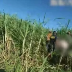 Bizaare desnudo arresto en canefield | Noticias de Buenaventura, Colombia y el Mundo