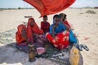 Sequía 'catastrófica' desplaza a un millón en Somalia, se pide al mundo que 'intensifique' el apoyo | Noticias de Buenaventura, Colombia y el Mundo