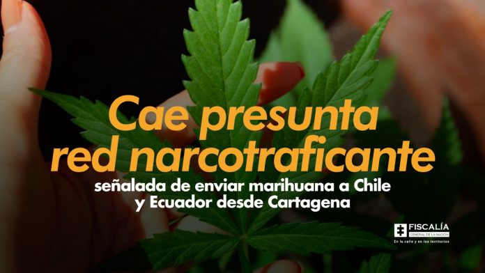 Cae presunta red narcotraficante señalada de enviar marihuana a Chile y Ecuador desde Cartagena
