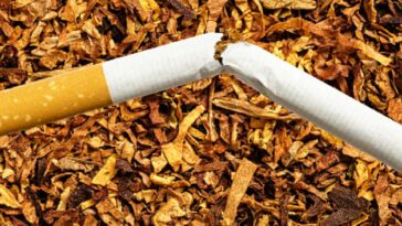El 9% de los jóvenes del país fuman tabaco actualmente | Finanzas | Economía