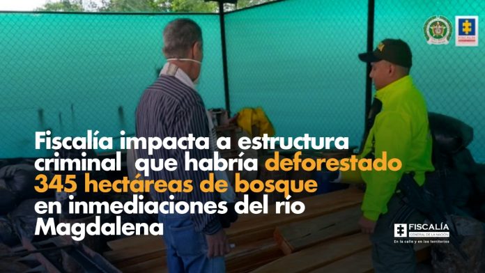 Fiscalía impacta a estructura criminal que habría deforestado 345 hectáreas de bosque en inmediaciones del río Magdalena