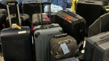Qantas: aerolínea que les pide a sus ejecutivos que trabajen de maleteros | Empleo | Economía