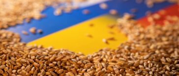 El primer barco de granos con destino a África llega al puerto de Ucrania desde la invasión: Ministro de Infraestructura | Noticias de Buenaventura, Colombia y el Mundo