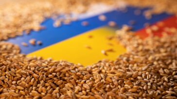 El primer barco de granos con destino a África llega al puerto de Ucrania desde la invasión: Ministro de Infraestructura | Noticias de Buenaventura, Colombia y el Mundo