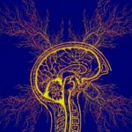 Algoritmo de IA que detecta anomalías cerebrales podría ayudar a curar la epilepsia | Noticias de Buenaventura, Colombia y el Mundo