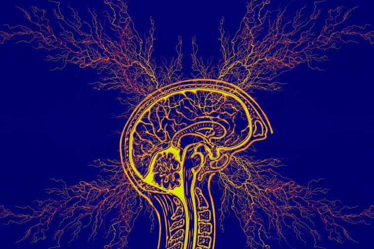 Algoritmo de IA que detecta anomalías cerebrales podría ayudar a curar la epilepsia | Noticias de Buenaventura, Colombia y el Mundo