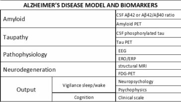 Explorar el 'lado oscuro' de la enfermedad de Alzheimer revela nuevos biomarcadores | Noticias de Buenaventura, Colombia y el Mundo