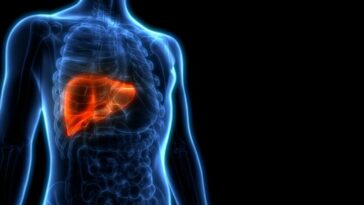 Los investigadores identifican el objetivo de los ataques inmunes a las células hepáticas en los trastornos metabólicos | Noticias de Buenaventura, Colombia y el Mundo