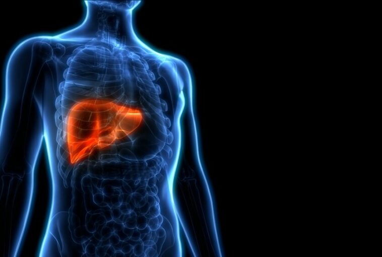Los investigadores identifican el objetivo de los ataques inmunes a las células hepáticas en los trastornos metabólicos | Noticias de Buenaventura, Colombia y el Mundo