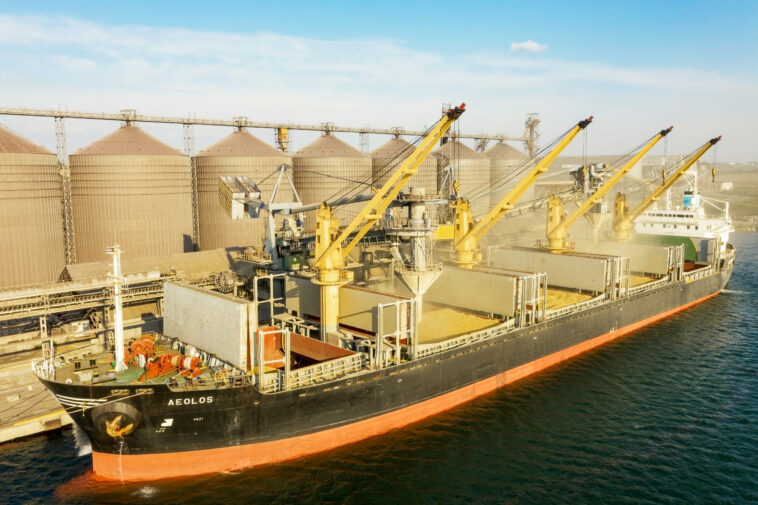 Cuatro barcos más cargados con grano y aceite de girasol salen de puertos ucranianos | Noticias de Buenaventura, Colombia y el Mundo
