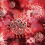 La inmunidad adquirida a alérgenos alimentarios aleatorios puede proteger a algunas personas afortunadas contra COVID-19 | Noticias de Buenaventura, Colombia y el Mundo