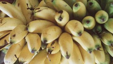Costo de insumos preocupa a los productores de banano | Economía