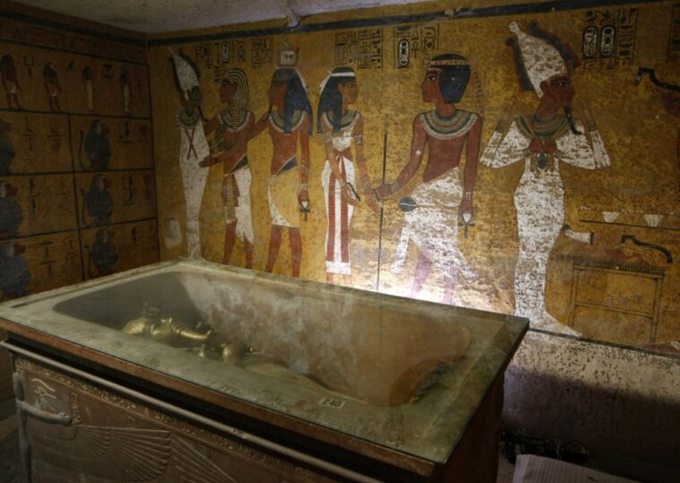 La tumba no descubierta de Nefertiti puede estar cerca del lugar de entierro de Tutankamón, dice el ex curador del Museo Británico | Noticias de Buenaventura, Colombia y el Mundo