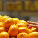 Beneficiarios de Zebediela Citrus Estate confían en recuperar millones saqueados | Noticias de Buenaventura, Colombia y el Mundo