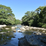 Tribunal ordena proteger cuenca del río Guatapurí