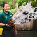 Esta estudiante de cine de 25 años se salió de los caminos trillados para cuidar rinocerontes, jirafas y cebras. | Noticias de Buenaventura, Colombia y el Mundo