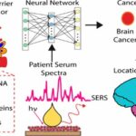 Biosensor detecta tumores cerebrales con menos de una gota de sangre | Noticias de Buenaventura, Colombia y el Mundo