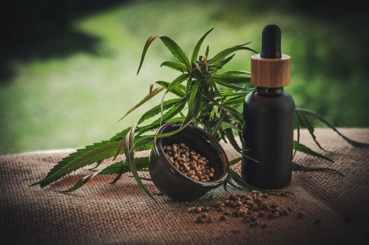 ¿Podría una mayor prescripción de cannabis medicinal ser una solución a la crisis de los opiáceos? | Noticias de Buenaventura, Colombia y el Mundo