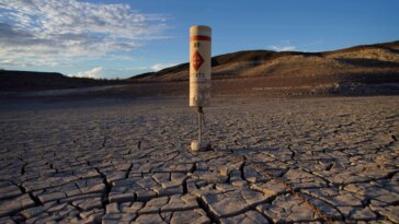 Persistentes sequías forman continentes desiertos en amplias regiones del americano | Noticias de Buenaventura, Colombia y el Mundo