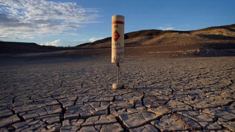 Persistentes sequías forman continentes desiertos en amplias regiones del americano | Noticias de Buenaventura, Colombia y el Mundo