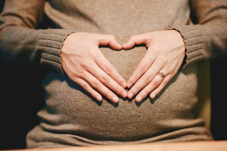 ¿Qué vitaminas, minerales y otros elementos son importantes para nuestro cuerpo durante el embarazo?