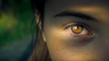 Dilatación de la pupila: una ventana a la percepción | Noticias de Buenaventura, Colombia y el Mundo