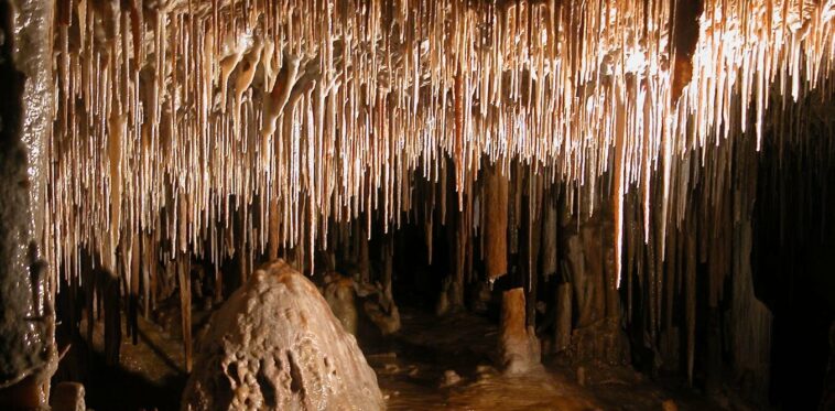 Un estudio encuentra que las cuevas australianas son hasta 500,000 años más antiguas de lo que pensábamos, y podría explicar un misterio de megafauna | Noticias de Buenaventura, Colombia y el Mundo