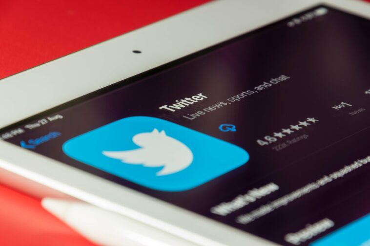 La mayoría de los usuarios de Twitter no siguen a las élites políticas, sugieren los investigadores | Noticias de Buenaventura, Colombia y el Mundo
