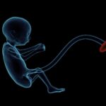 Los bebés en el útero reaccionan de manera diferente a los sabores: investigadores | Noticias de Buenaventura, Colombia y el Mundo
