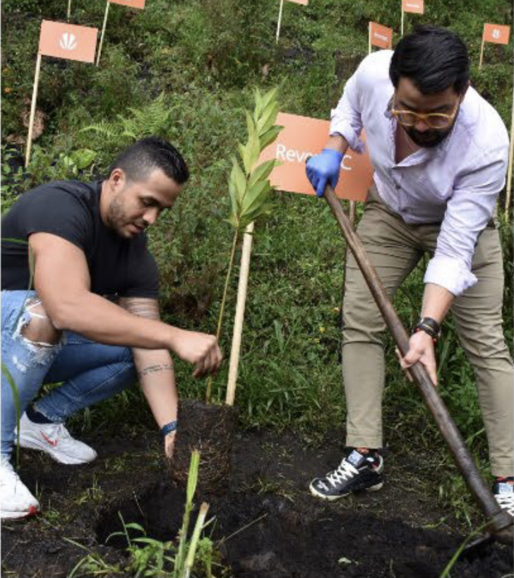Influenciadores del gremio Laick y la fundación ReverdeC de Celsia se unen para motivar la siembra masiva de árboles y compensar la huella de carbono | Noticias de Buenaventura, Colombia y el Mundo