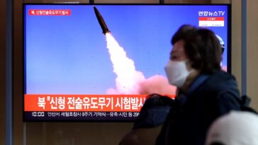 Corea del Norte dispara un misil balístico al Mar de Japón, dice Corea del Sur | Noticias de Buenaventura, Colombia y el Mundo