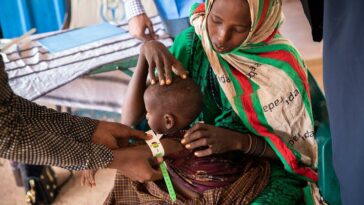 La hambruna se avecina en Somalia, pero muchos 'puntos críticos de hambre' están en serios problemas | Noticias de Buenaventura, Colombia y el Mundo