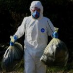 Medidas contra la gripe aviar en vigor en Gran Bretaña | Noticias de Buenaventura, Colombia y el Mundo