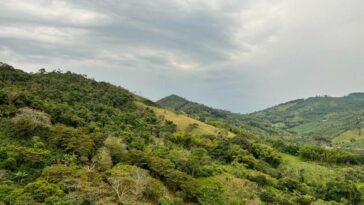 ABC del acuerdo entre el Gobierno y Fedegán para la compra y venta de hectáreas de tierras