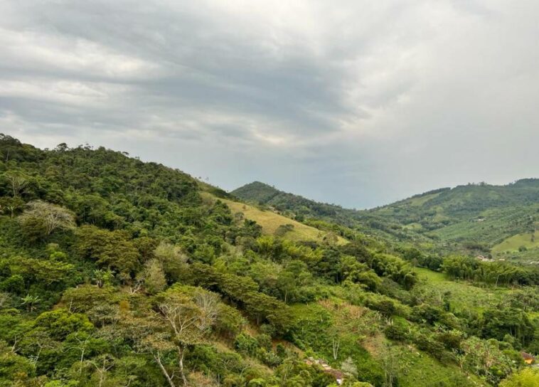 ABC del acuerdo entre el Gobierno y Fedegán para la compra y venta de hectáreas de tierras