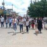 Los animalistas y dueños de mascotas caminaron por las diferentes calles de Maicao, en señal de protesta por el maltrato animal.