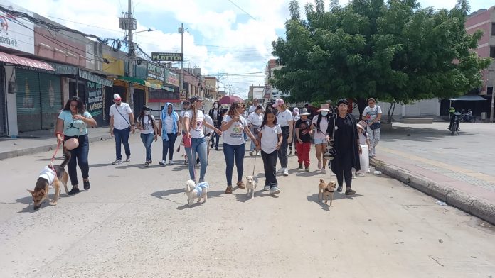 Los animalistas y dueños de mascotas caminaron por las diferentes calles de Maicao, en señal de protesta por el maltrato animal.