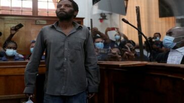 El parlamento acusado de incendio premeditado Zandile Mafe pierde su oferta de libertad bajo fianza | Noticias de Buenaventura, Colombia y el Mundo