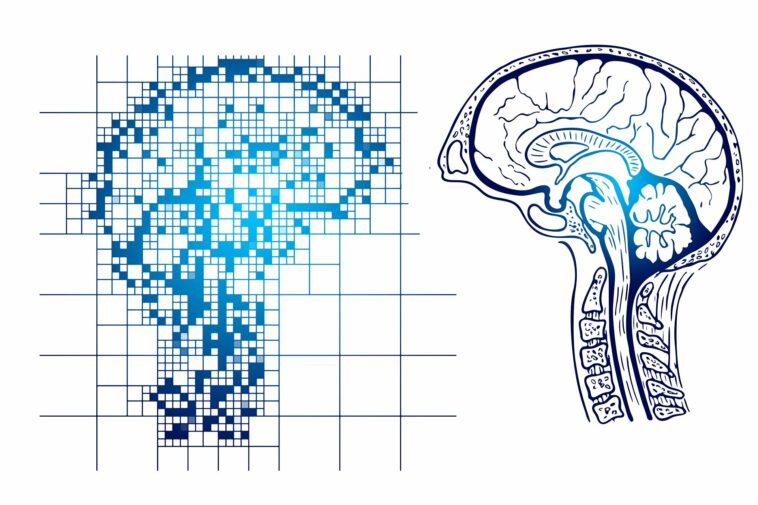 Un nuevo estudio amplía la gama de posibles fármacos contra el Alzheimer | Noticias de Buenaventura, Colombia y el Mundo