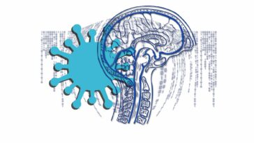 Nuevo estudio revela posibles mecanismos cerebrales detrás del delirio de COVID-19 | Noticias de Buenaventura, Colombia y el Mundo