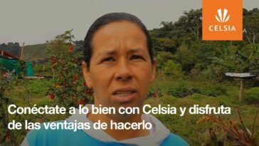 Conéctate a lo bien con Celsia | Noticias de Buenaventura, Colombia y el Mundo